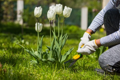 Arborist assessing tree health in a residential garden